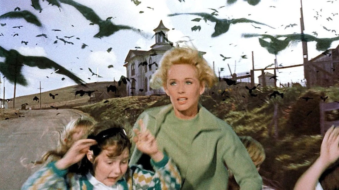 Alfred Hitchcock's "THE BIRDS" (1963) Getting A New TV Adaptation, And We Have Questions